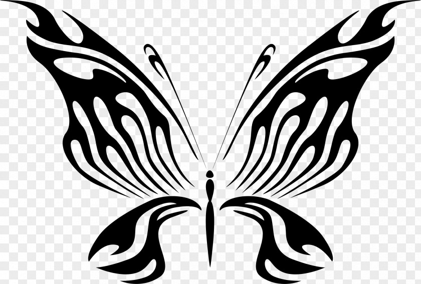 Hand-painted Butterfly Clip Art PNG