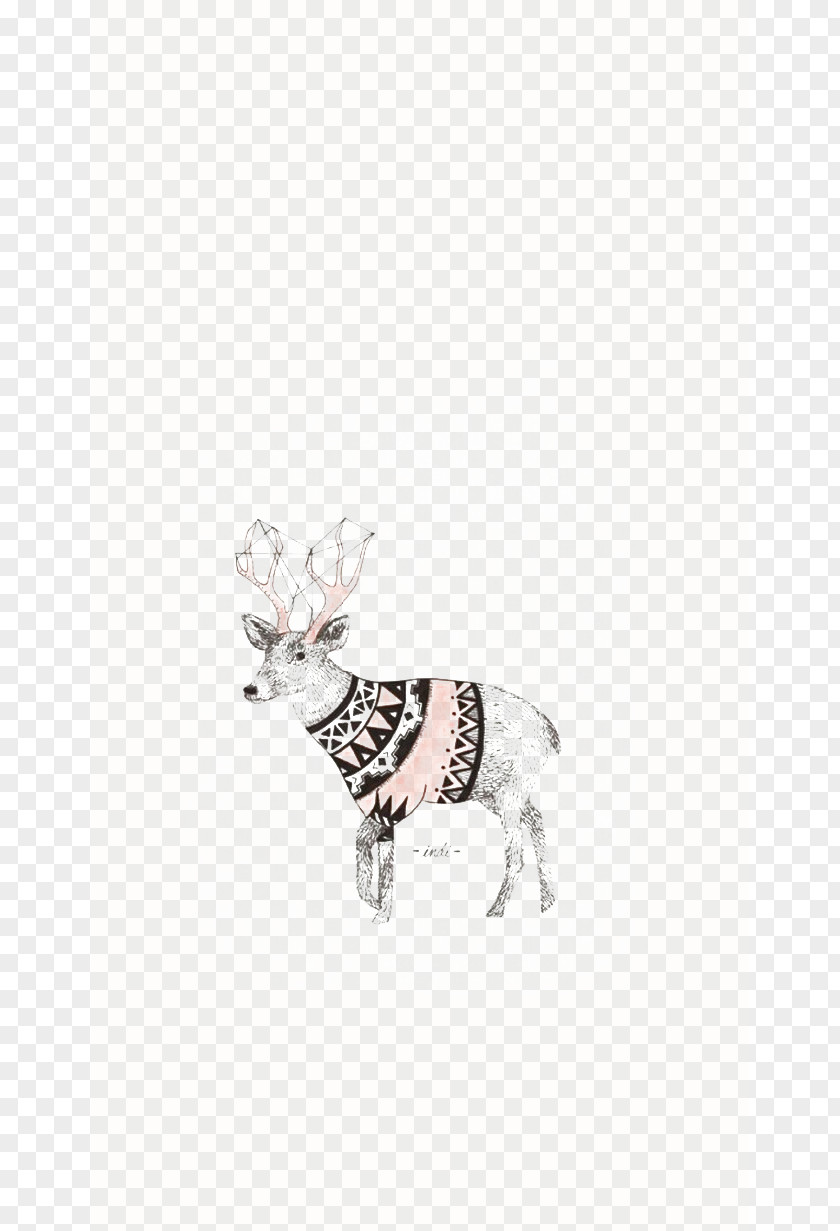 Deer Reindeer Cartoon Illustration PNG