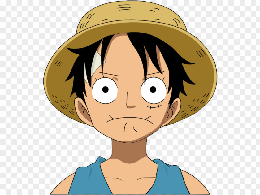 LUFFY Monkey D. Luffy Vinsmoke Sanji Portgas Ace Trafalgar Water Law One Piece PNG