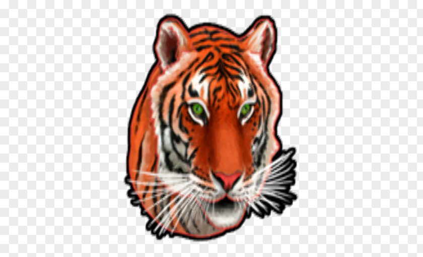 Tiger Whiskers Cat Snout PNG