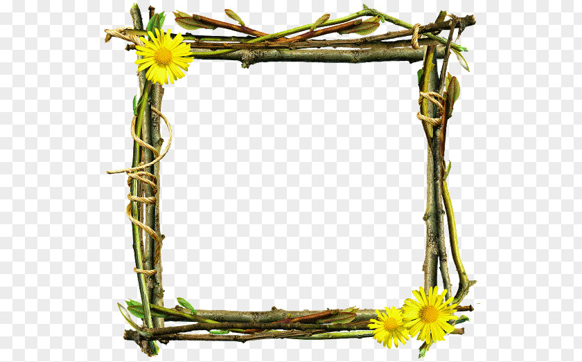 Abram Frame Stock Illustration Photography Image Shutterstock PNG