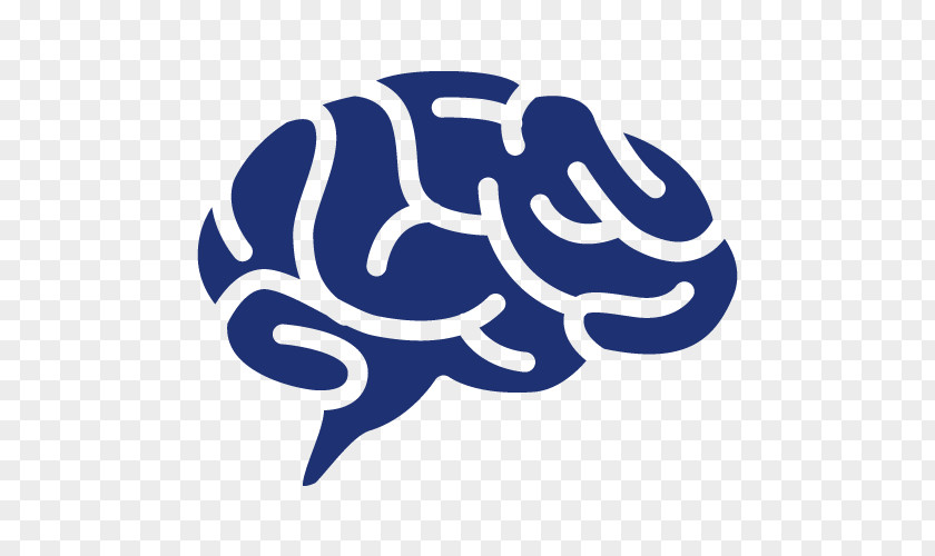 Cerveau Cognition Psychology Therapy Nootropic Government Procurement In Poland PNG