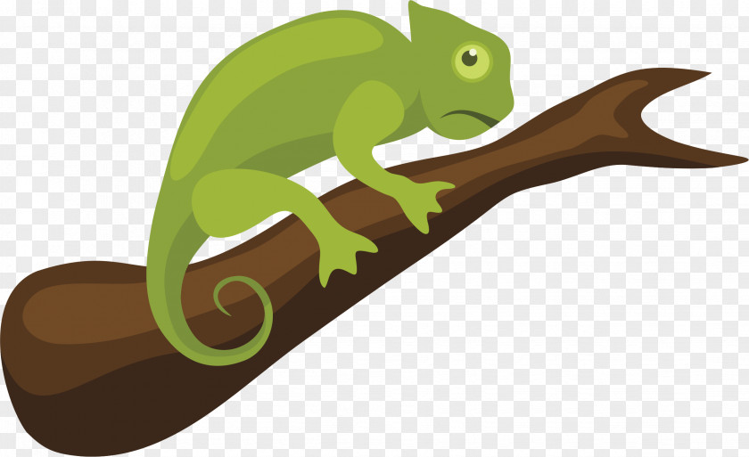 Chamaleon Chameleons Reptile Clip Art PNG