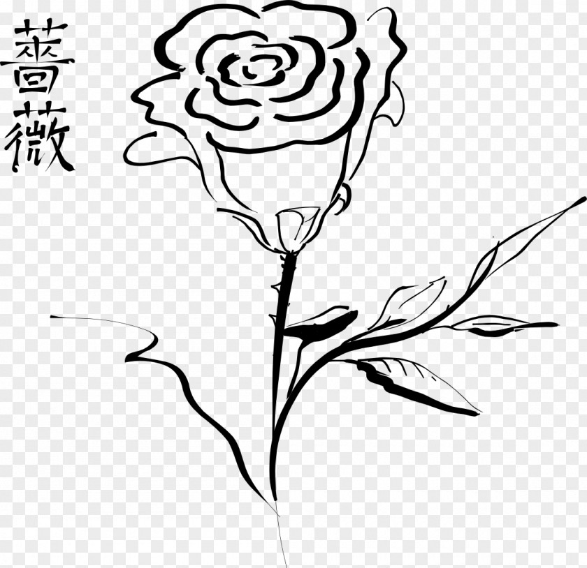 Rose Clipart Drawing Clip Art Vector Graphics Free Content PNG