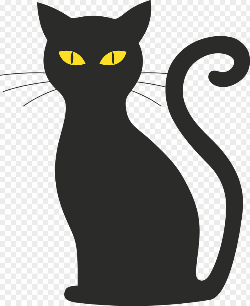 Cat Black Kitten Halloween Image PNG