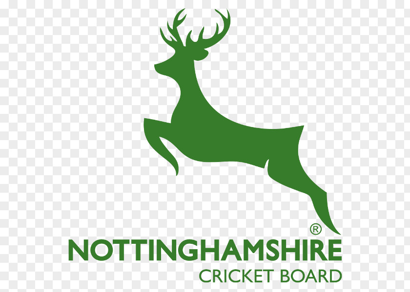 Cricket Nottinghamshire County Club Championship Hampshire Twenty20 Cup 2017 NatWest T20 Blast PNG