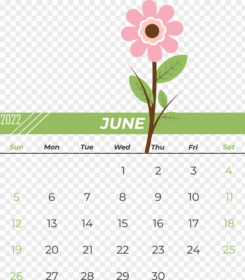 Flower Line Calendar Font Petal PNG