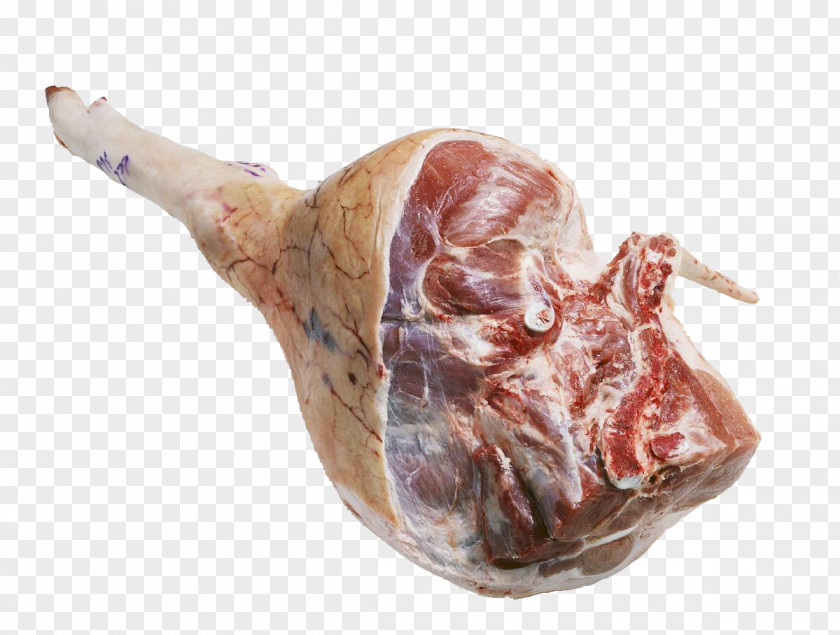 Fresh Pork Meat Bayonne Ham Prosciutto Capocollo Venison PNG