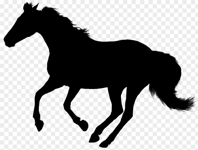 Horse Vector Graphics Illustration Royalty-free Image PNG