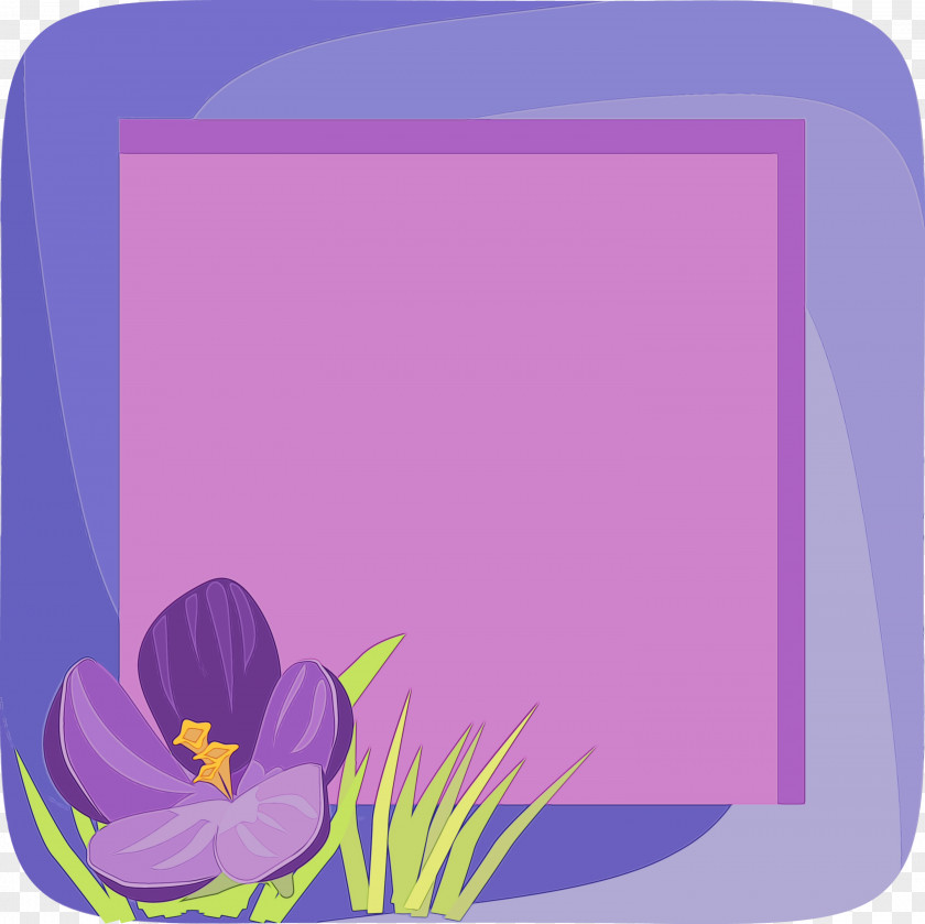 Picture Frame PNG