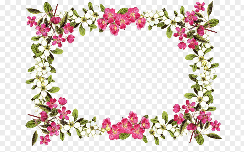 Rose Frame Flower Clip Art PNG