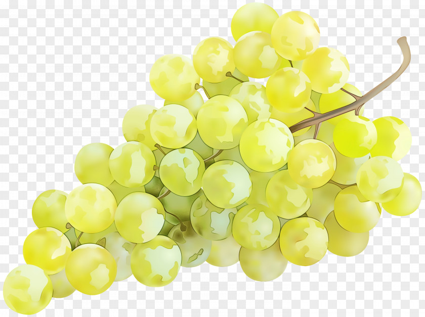 Sultana Seedless Fruit Grapevines Grape Seed Extract PNG