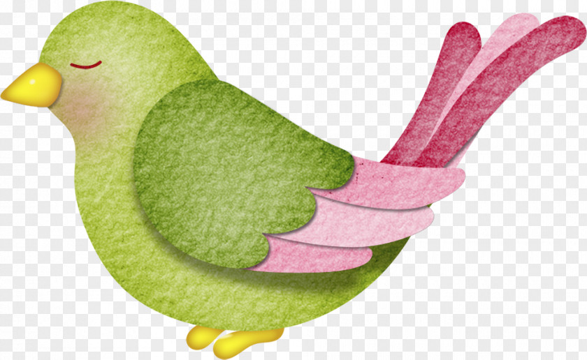 Wing Parakeet Bird Cage PNG