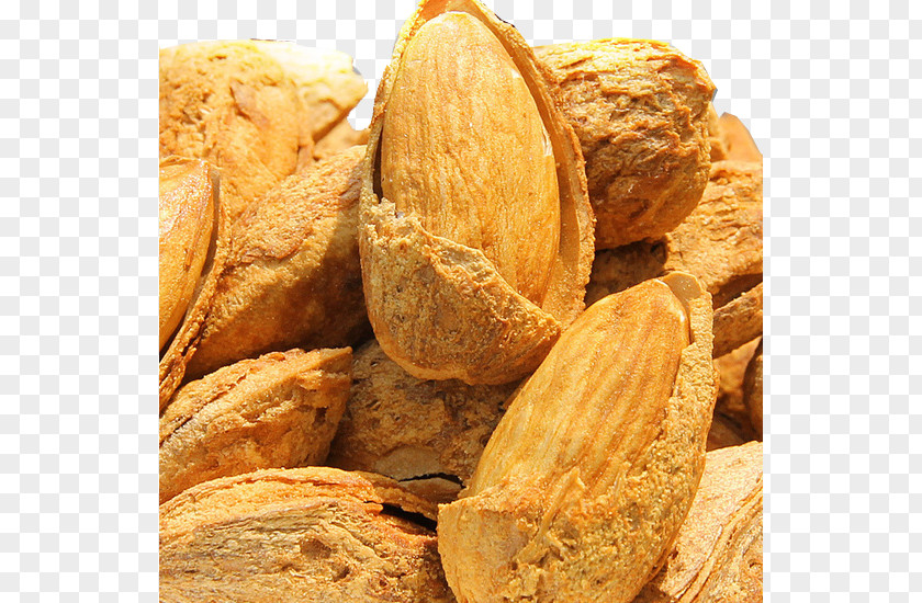 Almond Seed Nut Tooth Food PNG