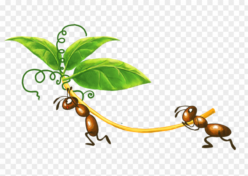 Ants Foliage Ant Colony Insect Clip Art PNG