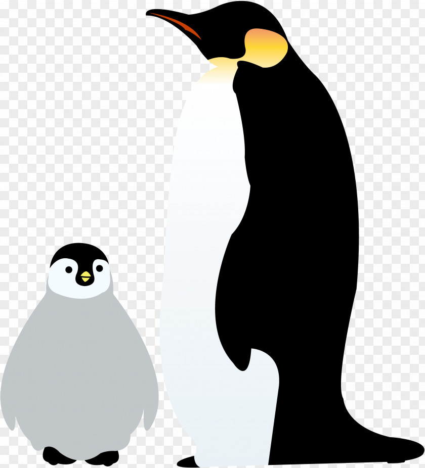 Emperor Penguin Antarctica Illustration Image PNG