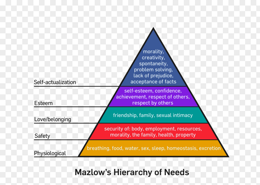 John Abraham Maslow's Hierarchy Of Needs Motivation Person PNG