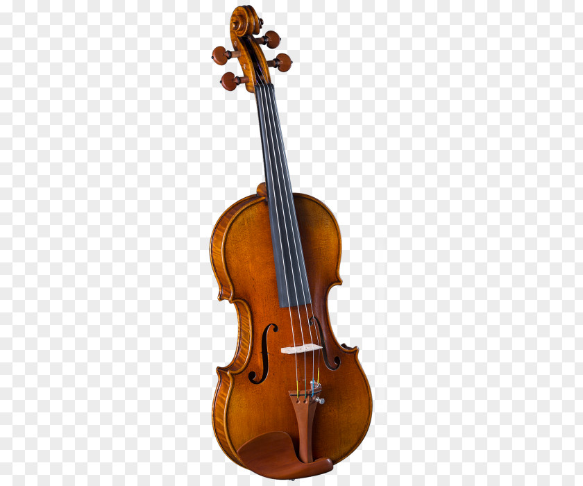 Musical Instruments Violin String Viola PNG