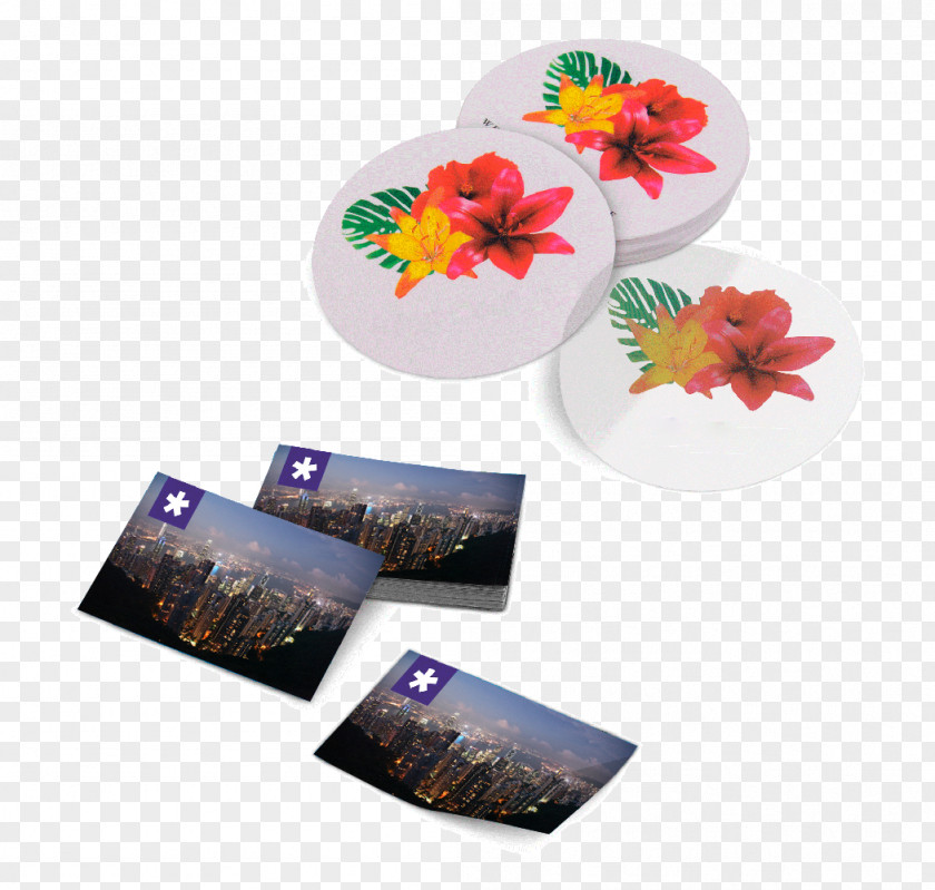 Product Promo Plastic PNG