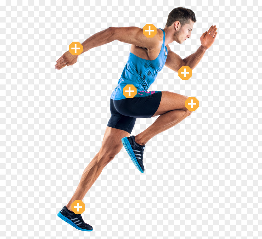 Adam Winter Lifestyle Strength Training Aerobic Exercise Anaerobic Organism PNG