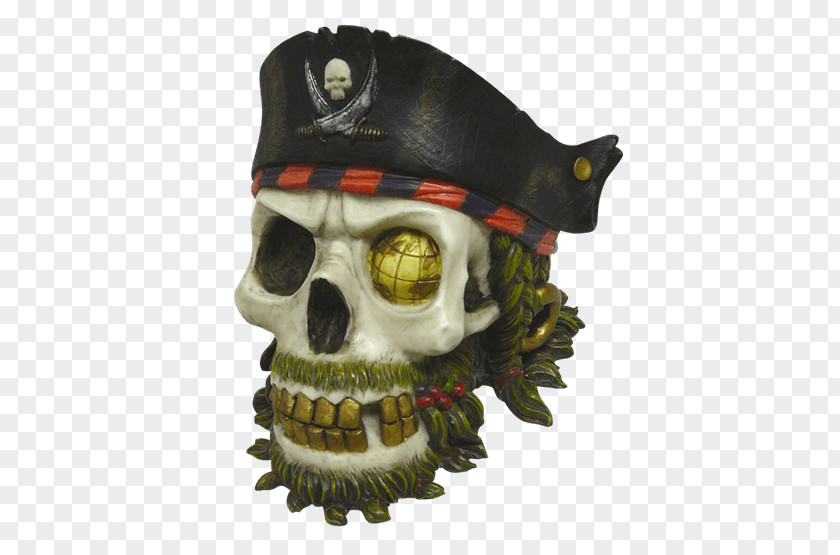 Bearded Skull Piracy Some Have Wings Head Horn PNG