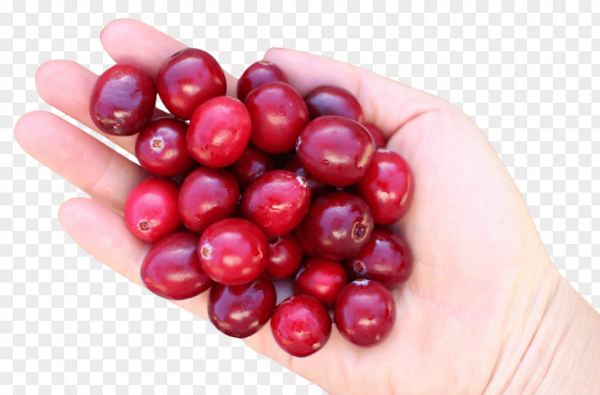 Cherry Cranberry Fruit PNG