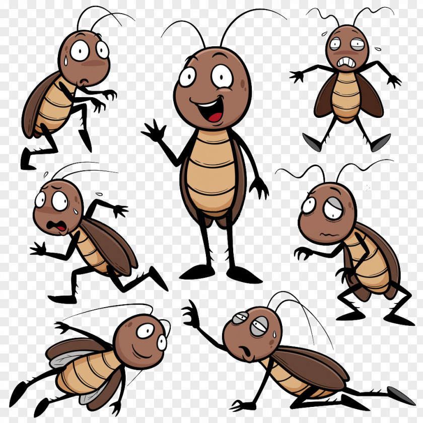 Cockroaches Of Various Postures Cockroach Cartoon Drawing Clip Art PNG