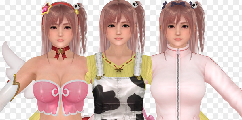 Model Dead Or Alive 5 Last Round Ultimate Hitomi PNG