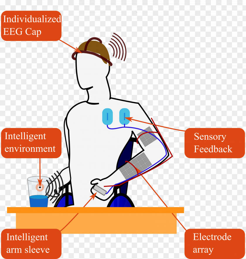 Neuroprosthetics End User System Spinal Cord PNG