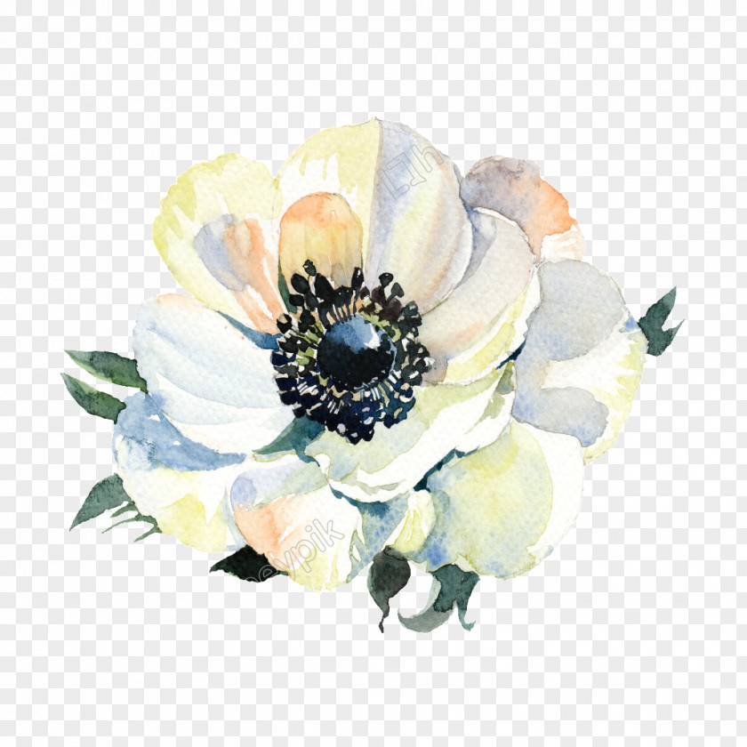 Painting Watercolor: Flowers Watercolor Image PNG