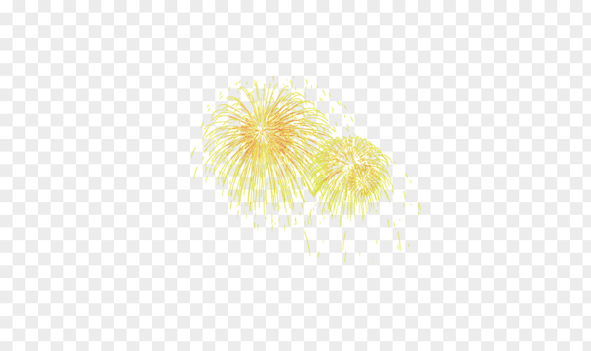 Fireworks Adobe PNG