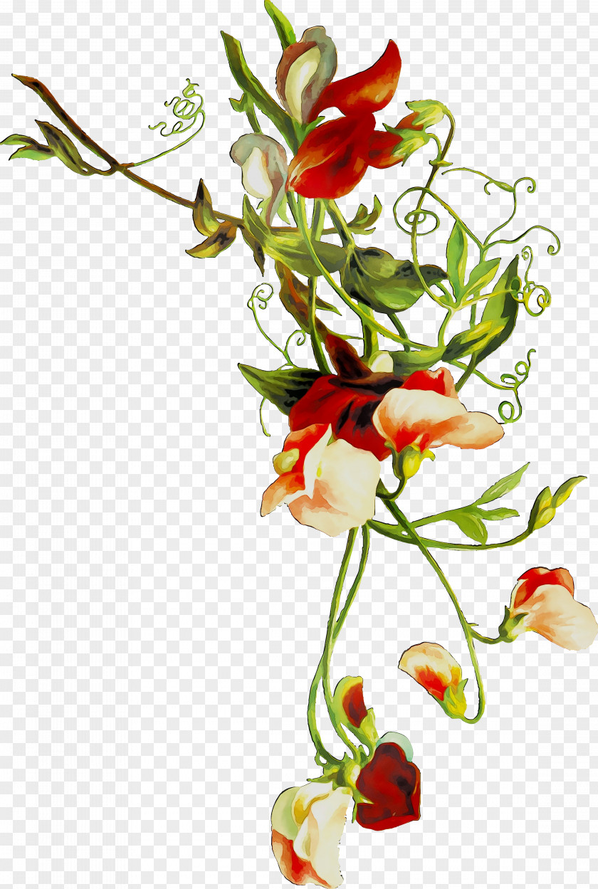 Floral Design Cut Flowers Flower Bouquet PNG