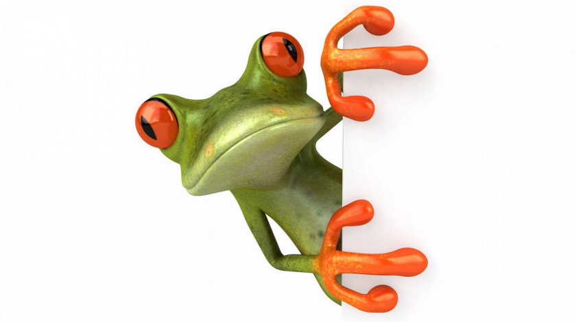 Frog Jumping To Conclusions Quotation Saying Argument Clip Art PNG