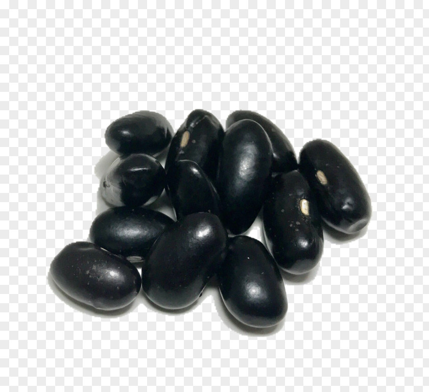 Kidney Bean Heirloom Plant Black Turtle Food PNG