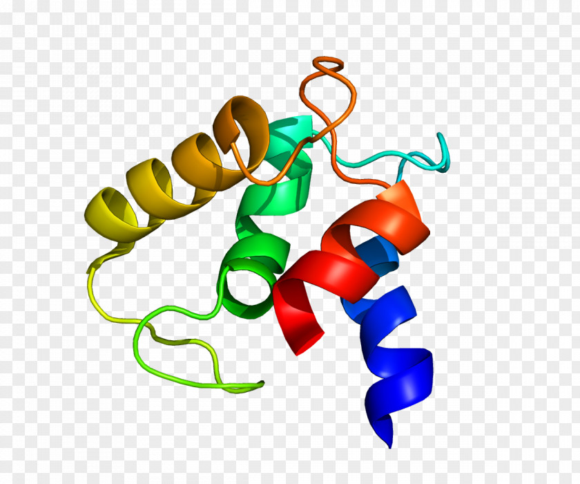 MCFD2 Protein COPII Coatomer Gene PNG