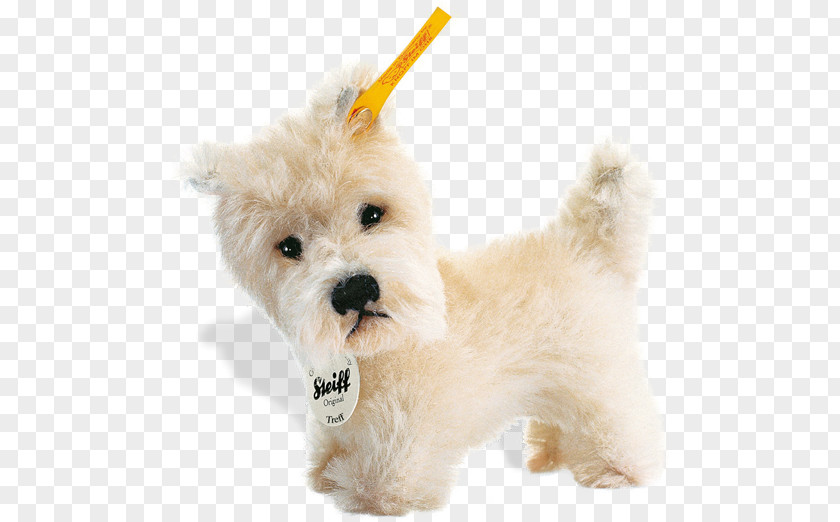 Puppy West Highland White Terrier Maltese Dog Havanese Goldendoodle Schnoodle PNG