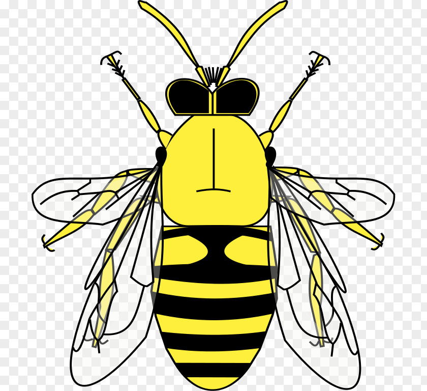 Bee Honey Heraldry Pollen Clip Art PNG