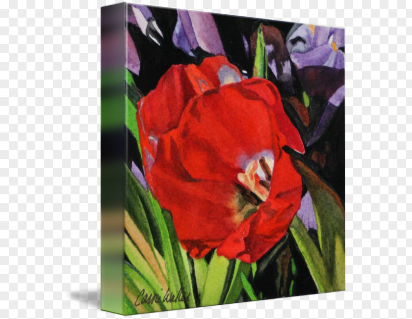 Fine Bouquet Amaryllis Belladonna Gallery Wrap Acrylic Paint Tulip Canvas PNG