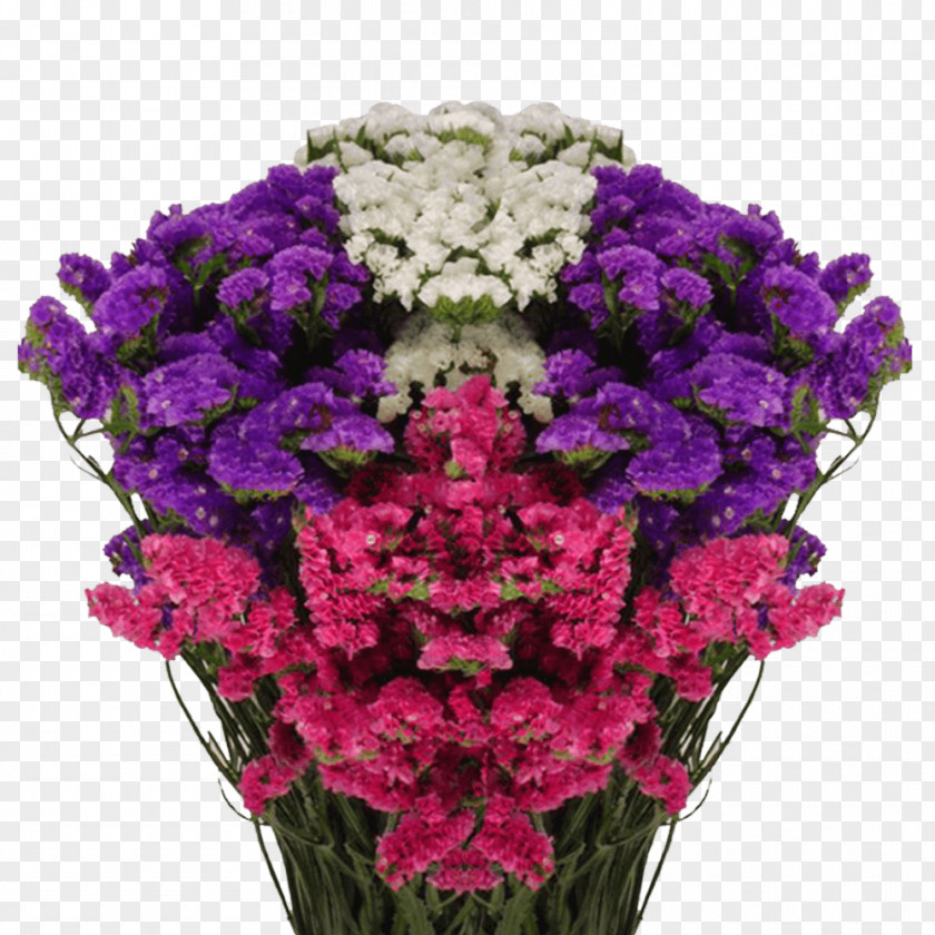 Floral Design PNG