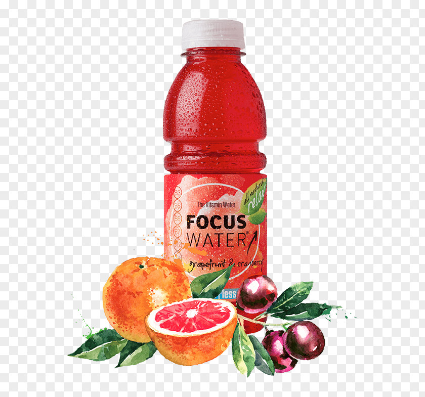 FOCUS Switzerland Juice Enhanced Water Fizzy Drinks PNG