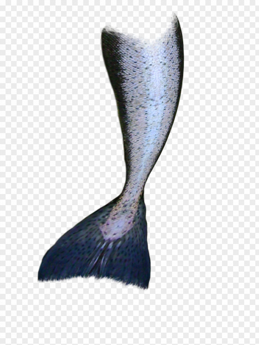 Mermaid Tail Drawing Clip Art PNG
