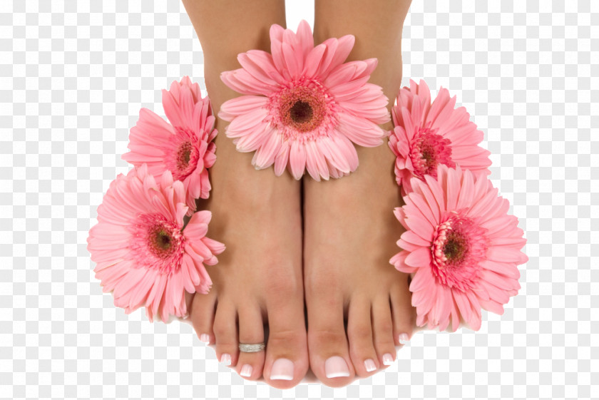 Nail Pedicure Day Spa Manicure Salon PNG