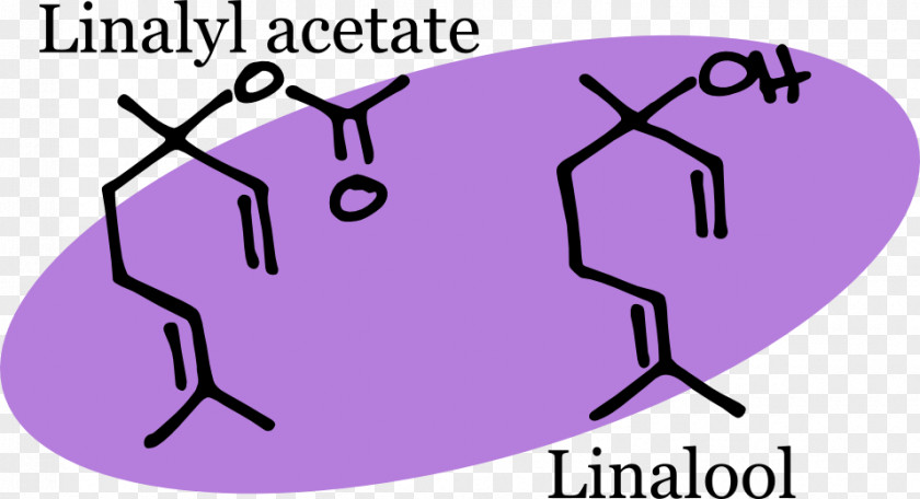 Alzheimer's Disease Lavender Oil Linalyl Acetate Chemical Compound Chemist PNG