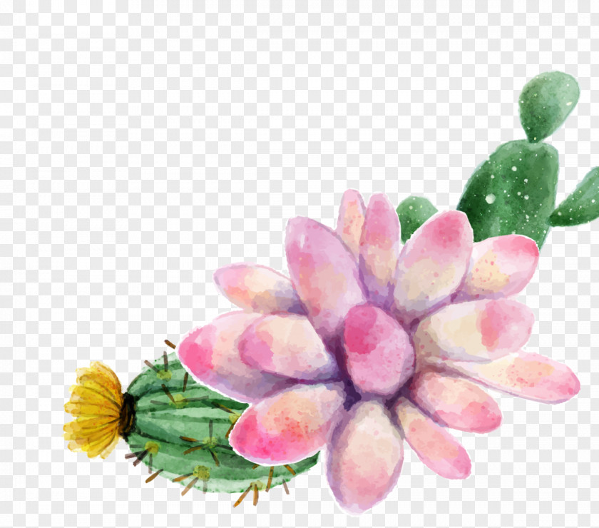 Cactus Watercolor Painting Succulent Plant PNG