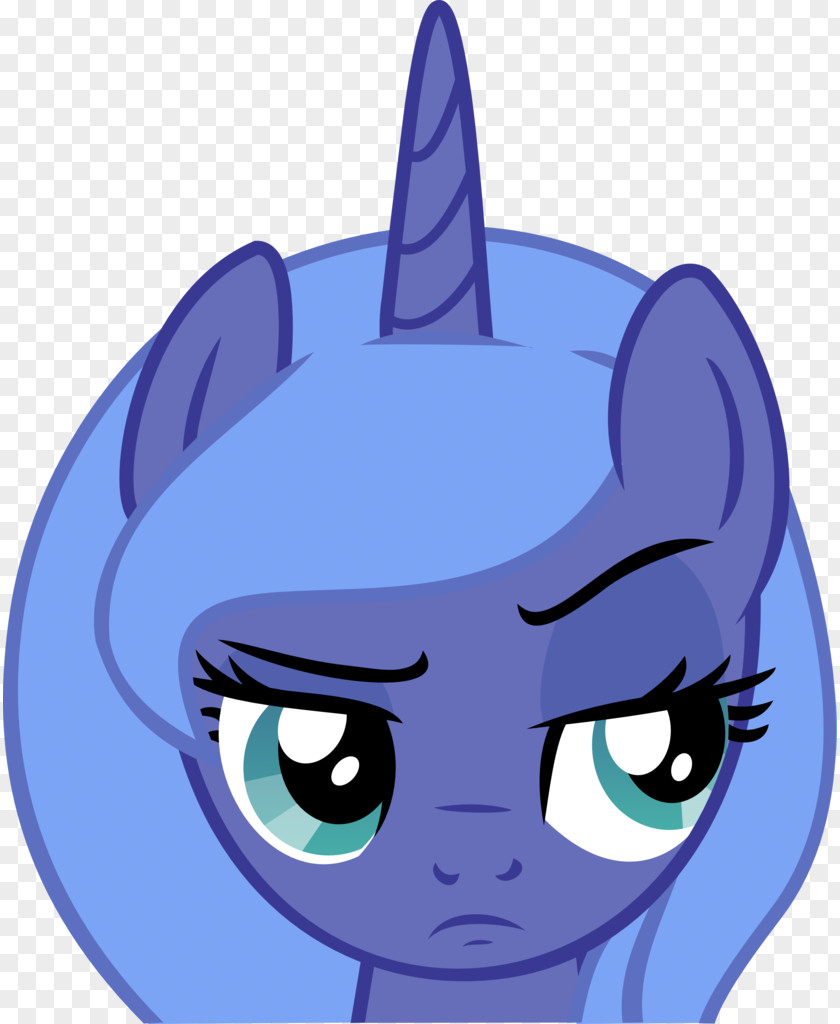 Cat Whiskers Horse Pony Snout PNG