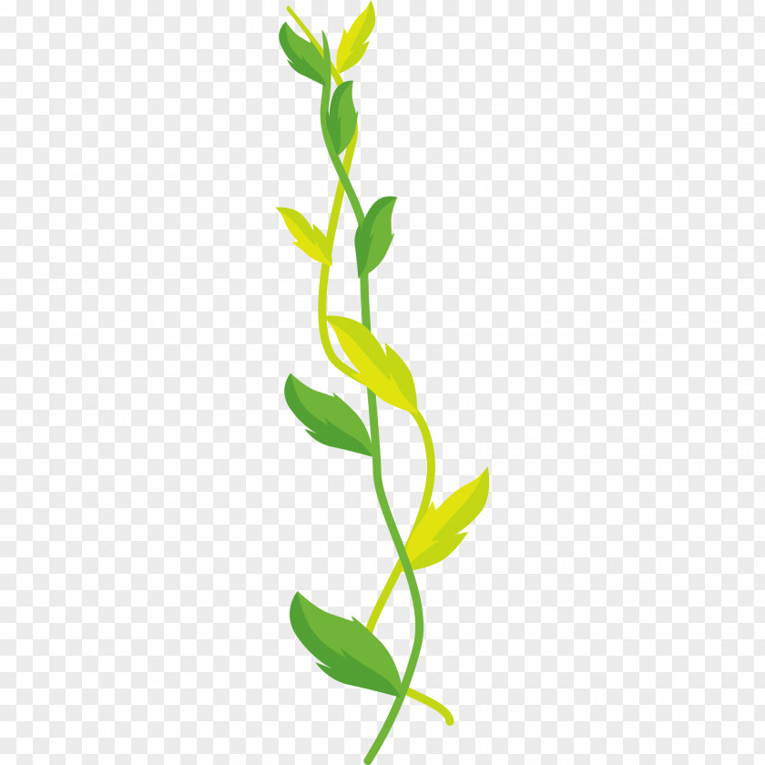 Grass Field Green Design Graphics Plants Leaf PNG