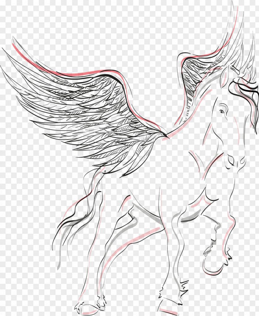 Pegasus Coloring Book Pony PNG
