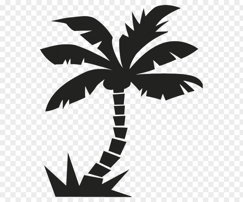 Tree Arecaceae Sticker Wall Decal شنني (قابس) PNG