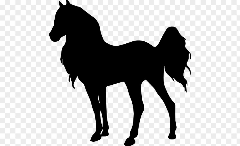 Animal Hair Silhouette Mustang Pony PNG
