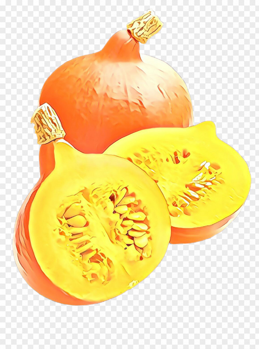 Cucurbita Butternut Squash Orange PNG